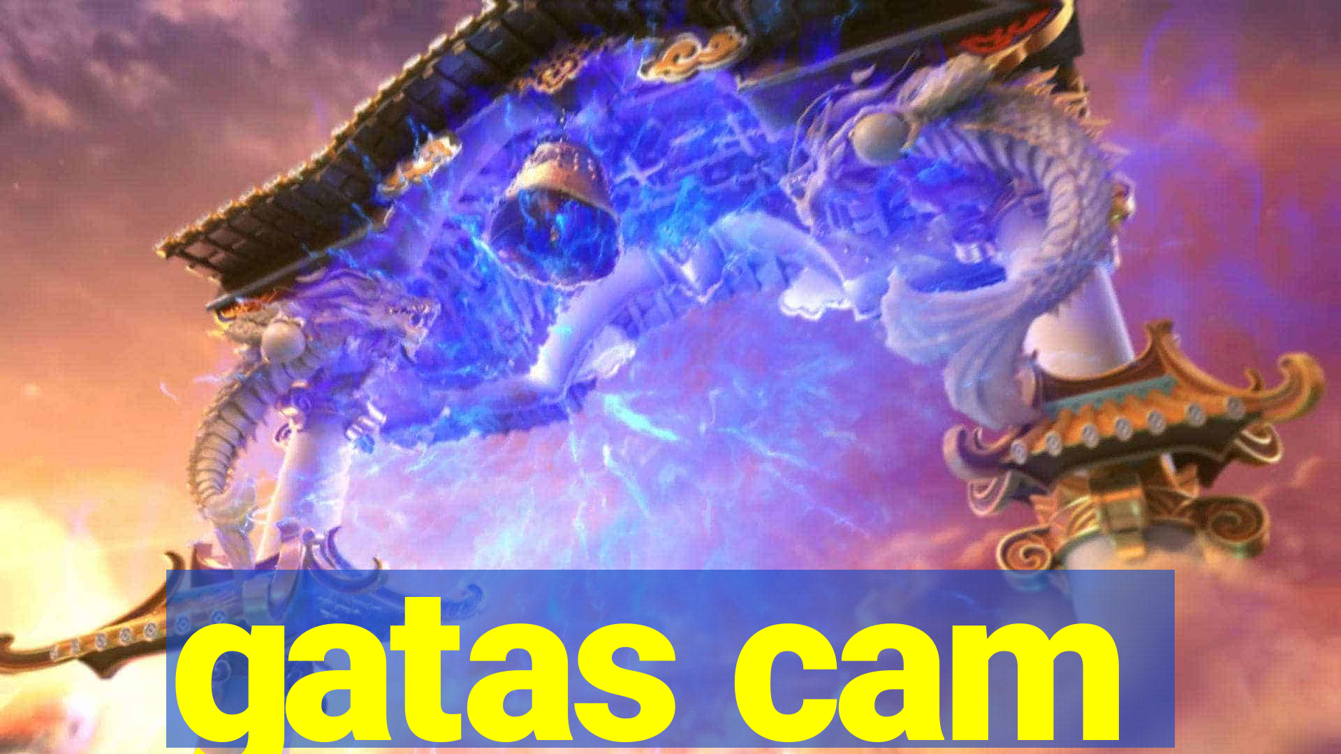 gatas cam